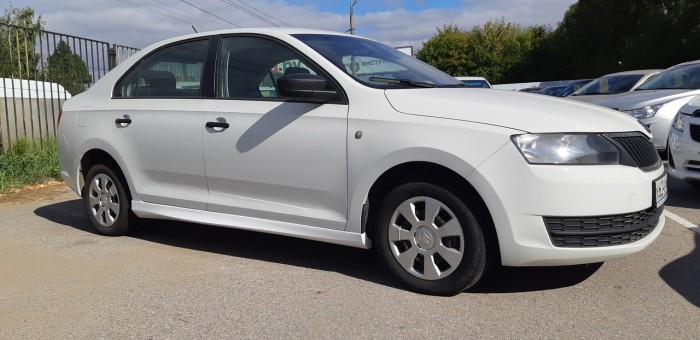 Пороги Skoda Rapid