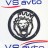 Грили для динамиков VS-AVTO Король лев 4