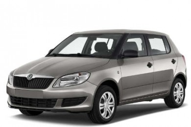 Коврики EVA на SKODA FABIA II хетчбэк 2007 — 2014