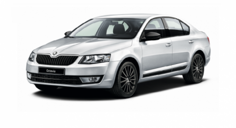 Коврики EVA на SKODA OCTAVIA (A7) лифтбек 2013 -