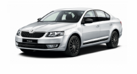 Коврики EVA на SKODA OCTAVIA (A7) лифтбек 2013 -